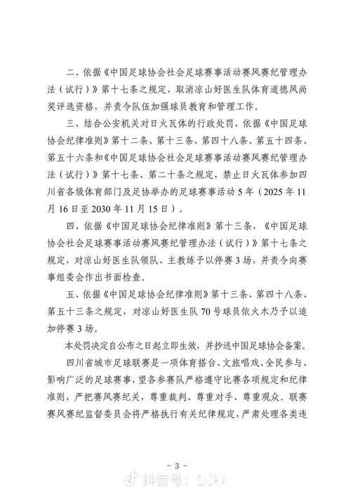 暴力飞踹拳击裁判 “川超”凉山好医生队球员日火瓦体省内禁赛5年